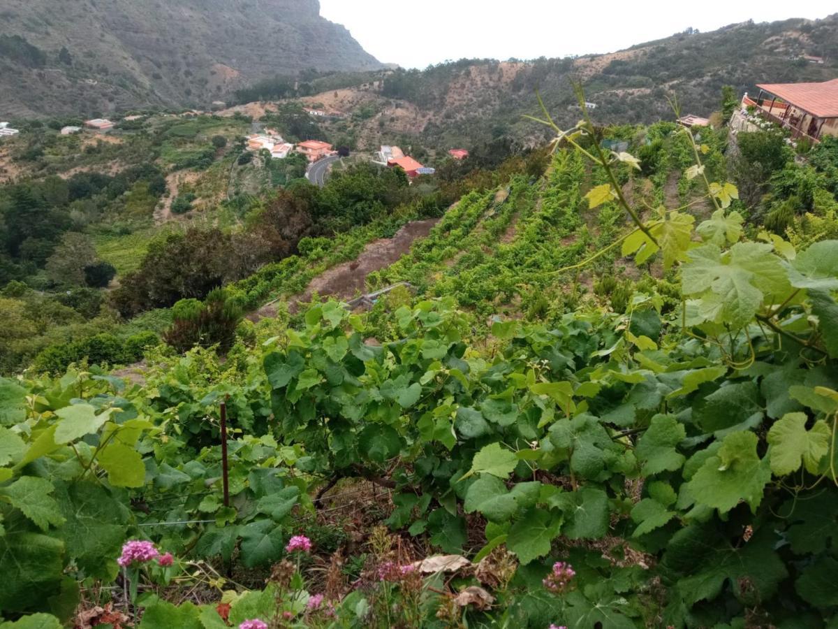 Casa Rural Quilla Agulo Bagian luar foto